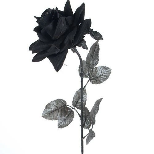 Ramo 12 Rosas Negras - Image 5