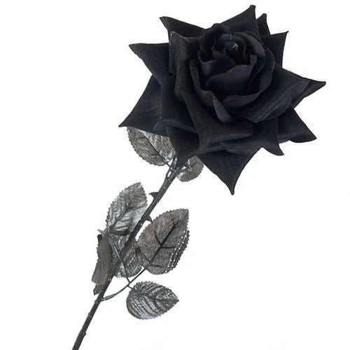 Ramo 3 Rosas Negras - Image 3