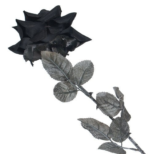 Rosa de Tela Negra - Image 4