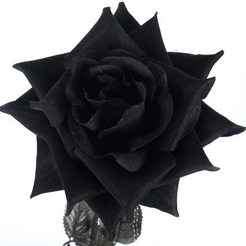 Rosa de Tela Negra - Image 5