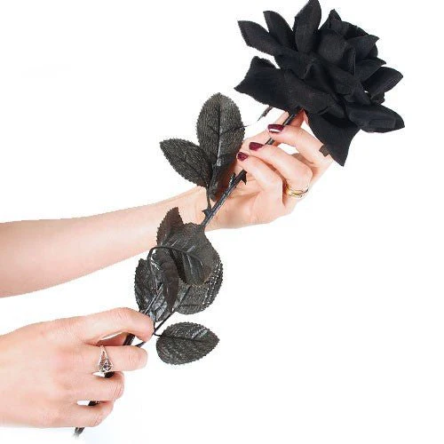 Rosa de Tela Negra - Image 6